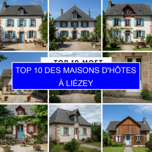 Top 1 des Maisons d'hôtes à Liézey